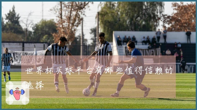 世界杯买球平台有哪些值得信赖的选择