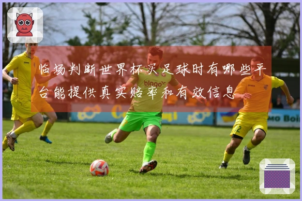 临场判断世界杯买足球时有哪些平台能提供真实赔率和有效信息