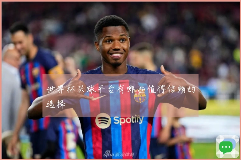 世界杯买球平台有哪些值得信赖的选择