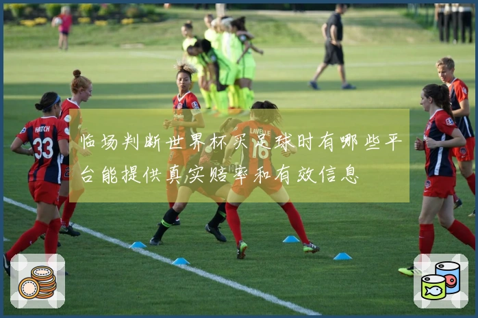 临场判断世界杯买足球时有哪些平台能提供真实赔率和有效信息