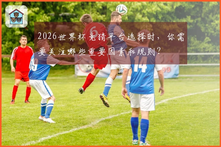 2026世界杯竞猜平台选择时，你需要关注哪些重要因素和规则？